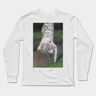 White Bengal Tiger Marking Territory Long Sleeve T-Shirt